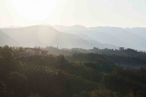 Cantina Produttori Cormons - Vini di qualità in Friuli