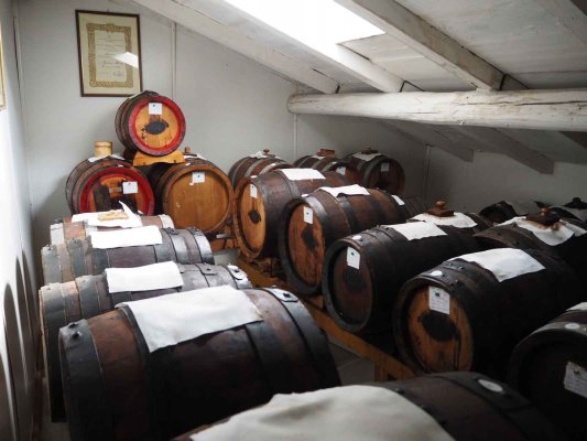 A visit in Acetaia in Modena - Authentic Balsamic Vinegar D.O.P.