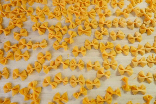 Le sfogline - Traditional Bolognese hand made pasta