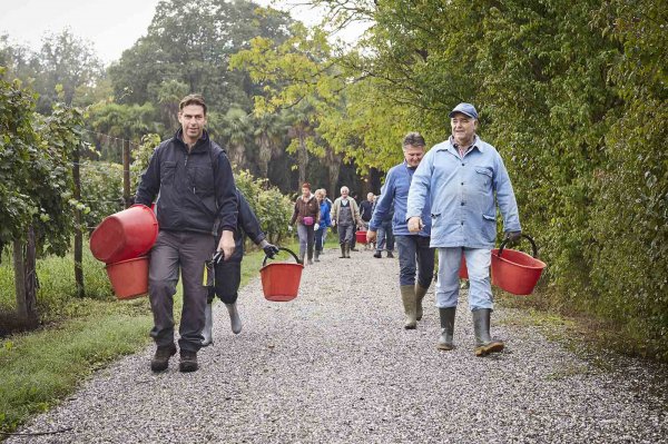 Cantina Produttori Cormons - Vini di qualità in Friuli