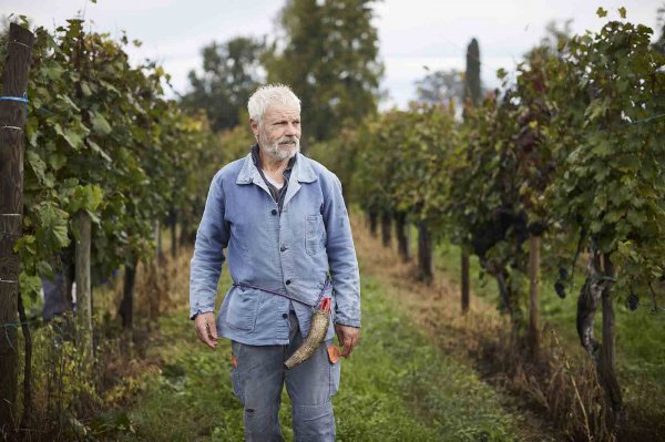 Cantina Produttori Cormons - Vini di qualità in Friuli