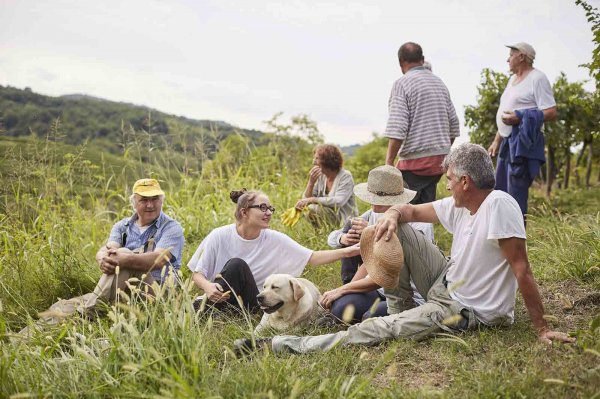 Cantina Produttori Cormons - High quality wines in Friuli