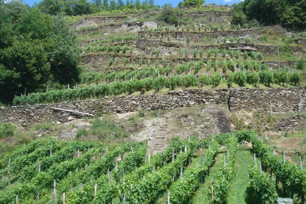 Agriturismo Fontanella - Traditional tastes in Livigno