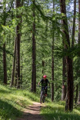 David’s Rental Ski & Bike - Quality rental shop in Livigno