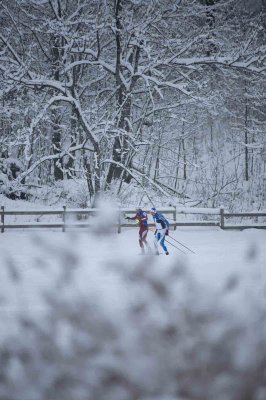 Gressoney Cross-Country Ski School - Лыжные гонки  в Грессоне