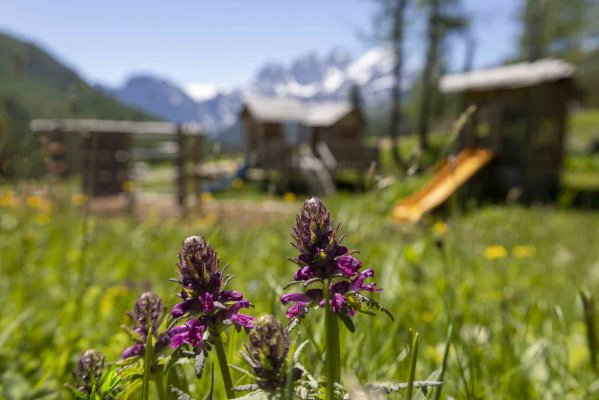 Rifugio Flora Alpina - Рифуджо Доломиты