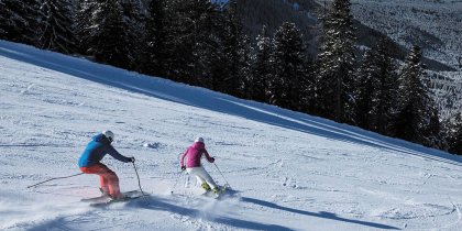 Noleggio Ski Rent Maestri di Sci Pampeago