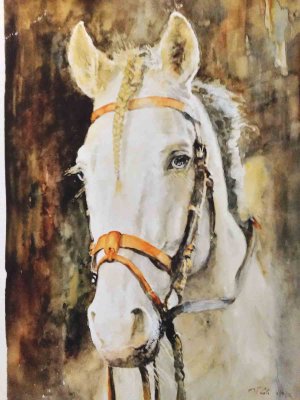 Cavallo con la treccia / 2014 / watercolor / 50 x 35 cm