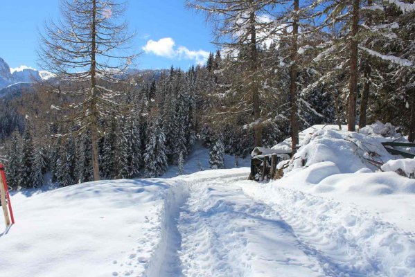 Rifugio Flora Alpina - Рифуджо Доломиты