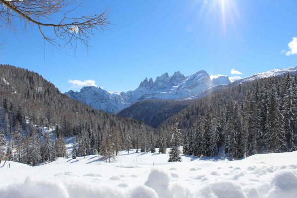 Rifugio Flora Alpina - Рифуджо Доломиты