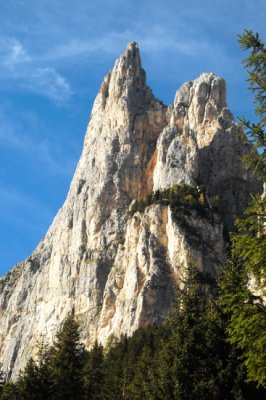 Stella Alpina Spiz Piaz - Rifugio del Catinaccio