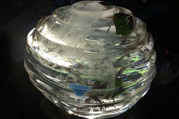 Tsunami I / 2014 / tecnica mista / stoffe metalli denaro e vetro inglobati nel metacrilato / 22 x 35 cm