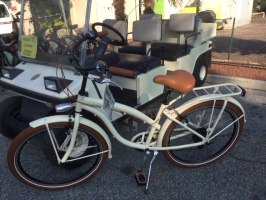 Sirmio Trans Rent - Visit Lake Garda driving a bicycle