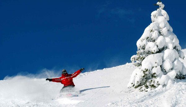 Scuola Sci Monte Bianco - Ski school in Courmayeur