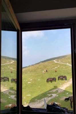 Utia Da Resciesa - Typical Tyrolean style restaurant