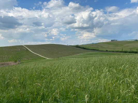 Casale dello Sparviero