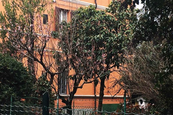 House Bologna - Apartment for rent in Bologna