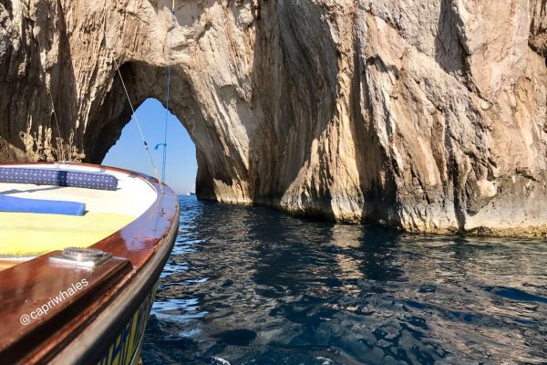 Capri Whales - Rental boats company in Capri