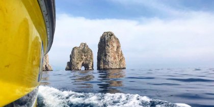 Capri Whales 