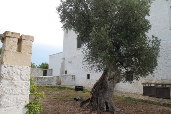 Masseria Donna Nina - Farmhouse in Ostuni