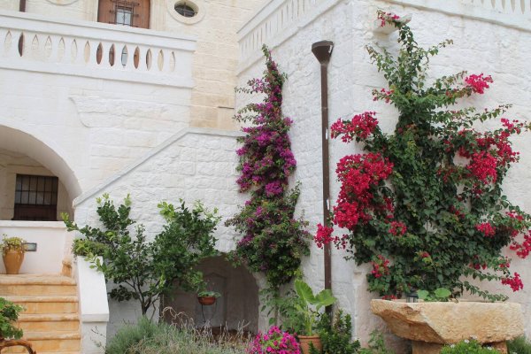 Masseria Donna Nina - Farmhouse in Ostuni