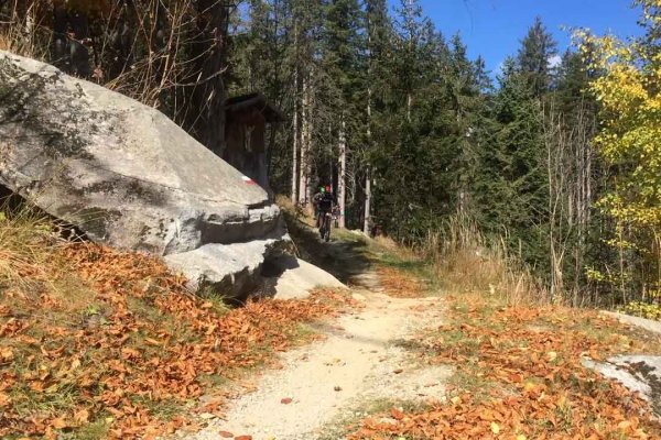 Scuola Sci Des Alpes - лыжная школа в Кампильо