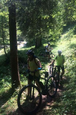 Scuola Sci Des Alpes - Scuola sci a Madonna di Campiglio