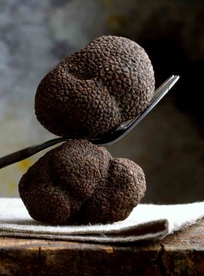 Urbani Tartufi - Truffles