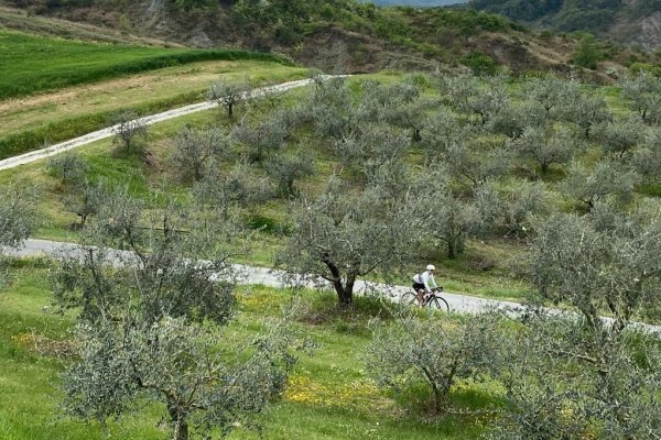 Nataly Tour Bike - Vacanze in bicicletta in Emilia Romagna